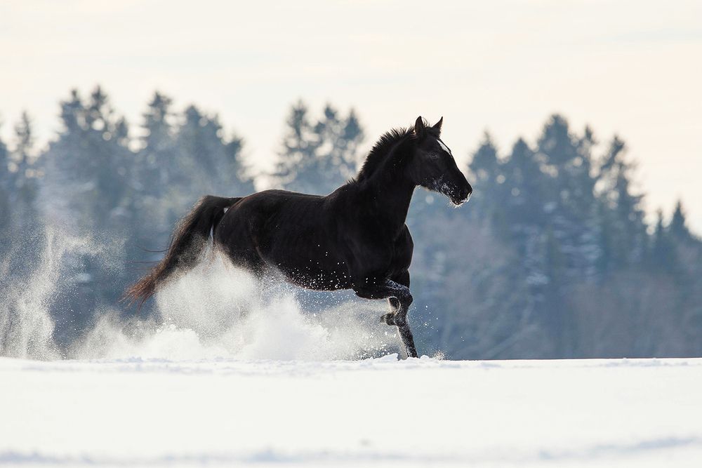 Photograph by Helena