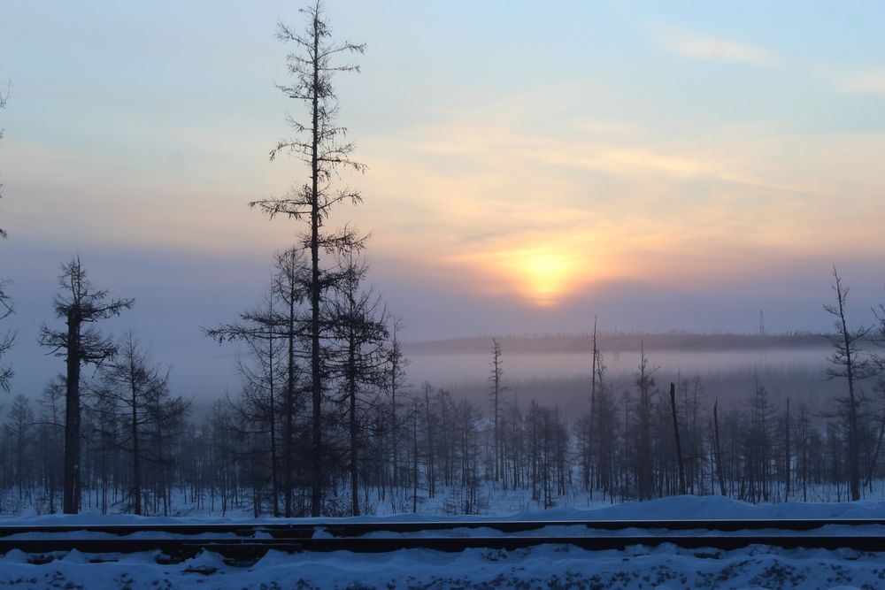 Photograph by Михаил Мархинин