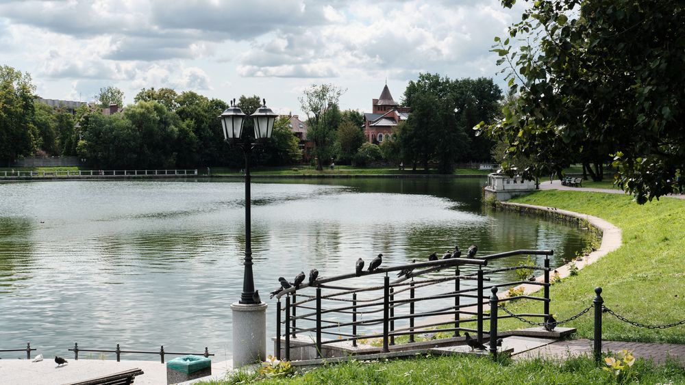 Фотография автора Александр Асланов