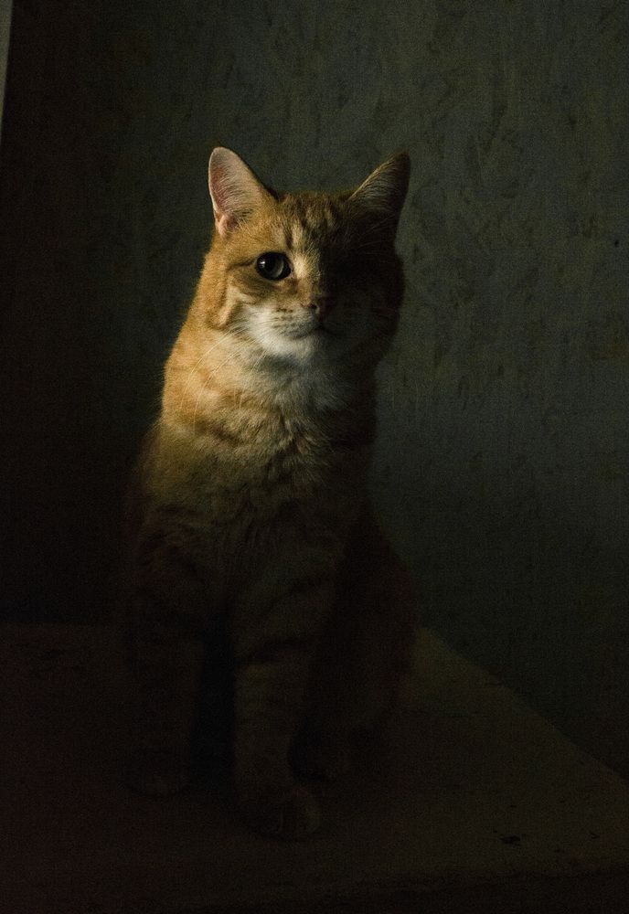 Персик
