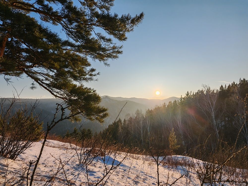 Фотография автора Мария Тюрина