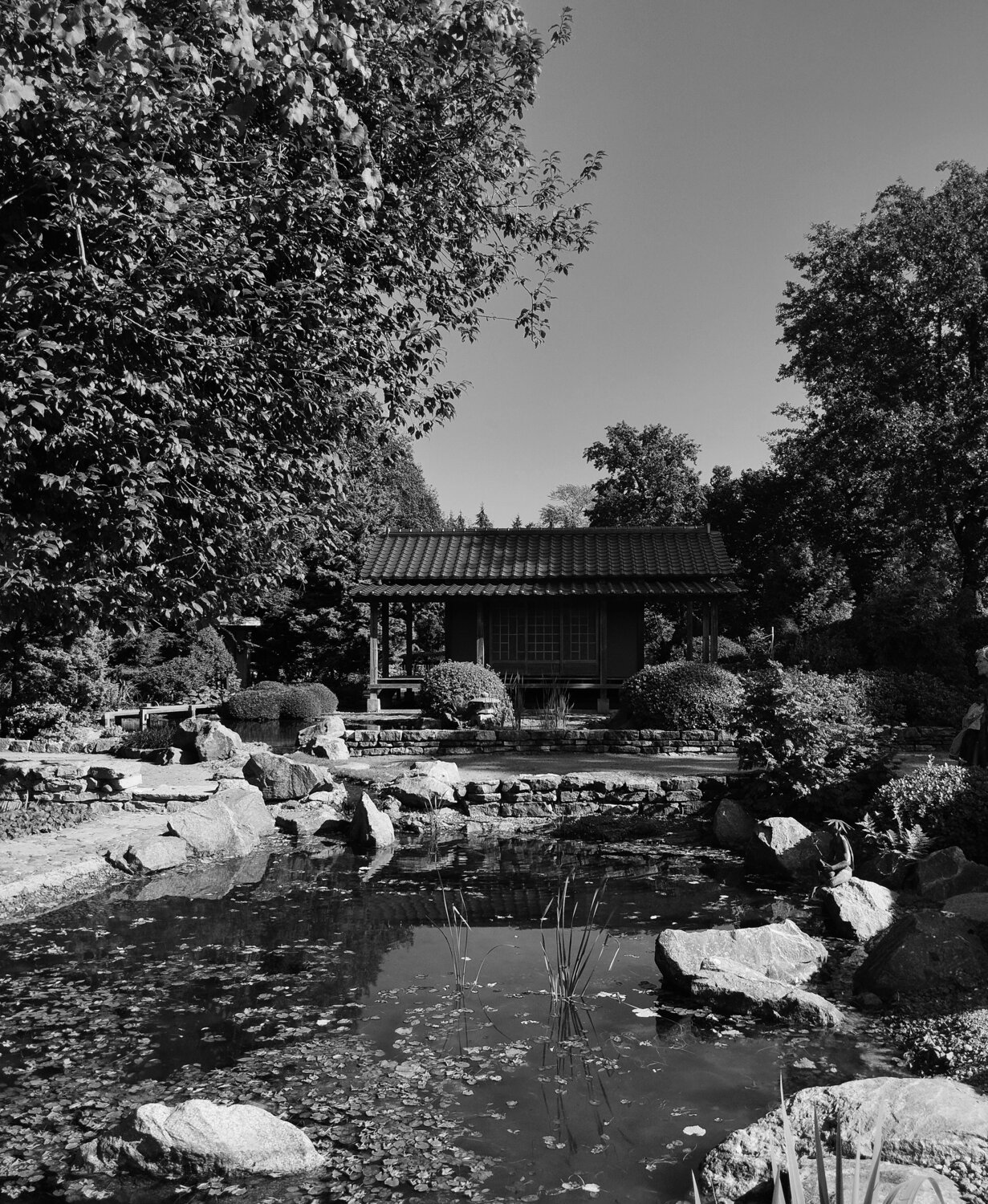 Photo #13068645