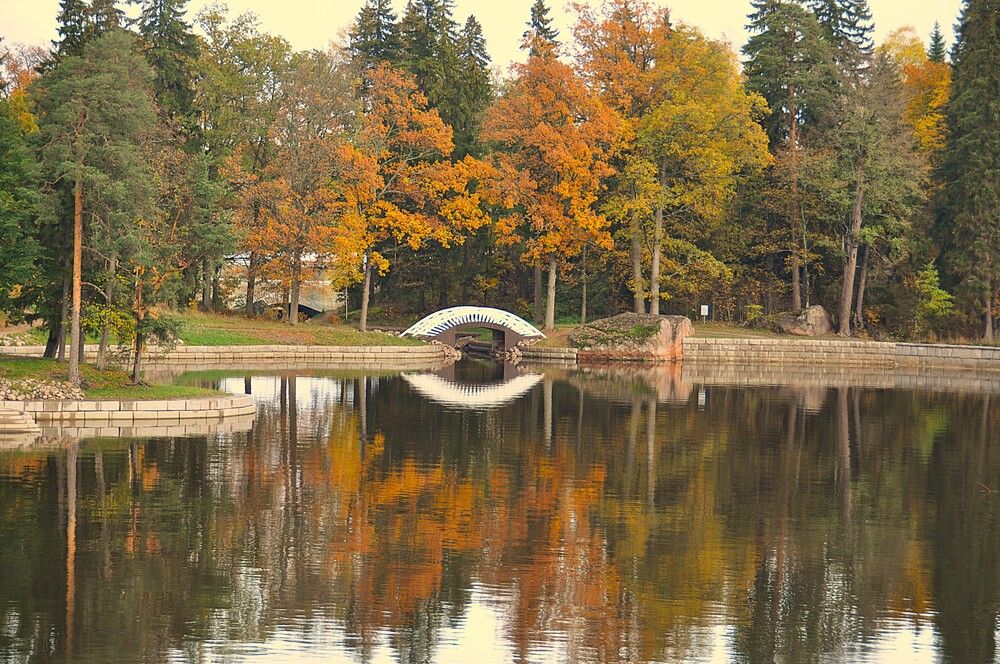 Photograph by Евгений Захаров