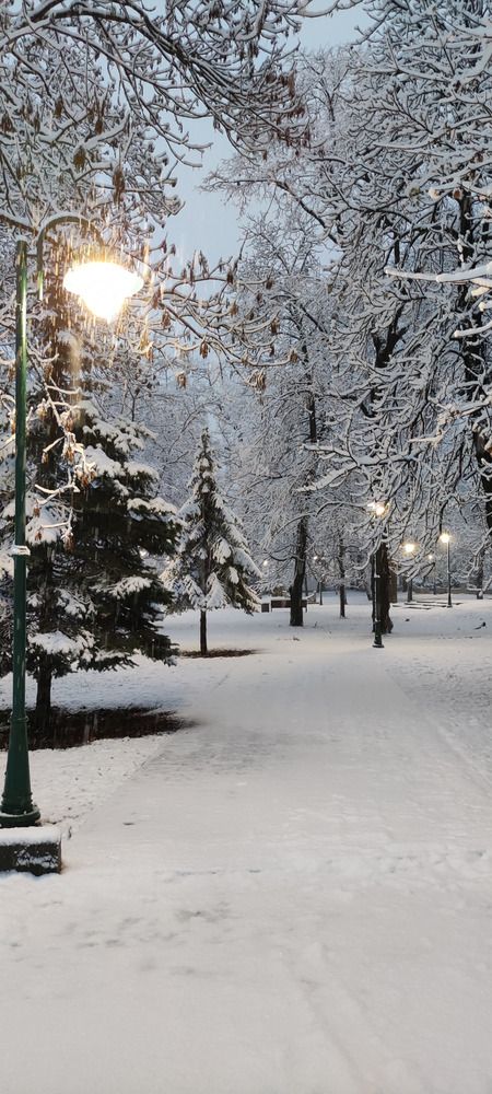 Photograph by Lena Semenova