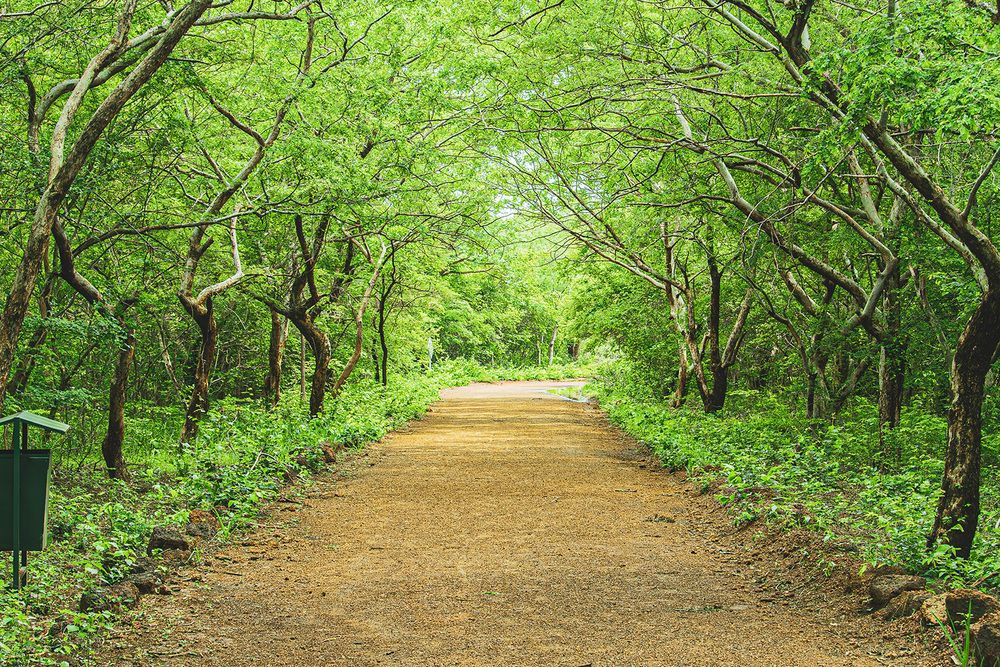 Photograph by Marcel AHONDO