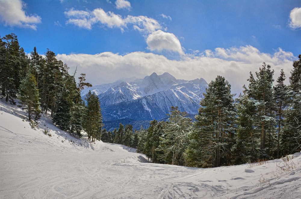 Фотография автора Inna Ivanova