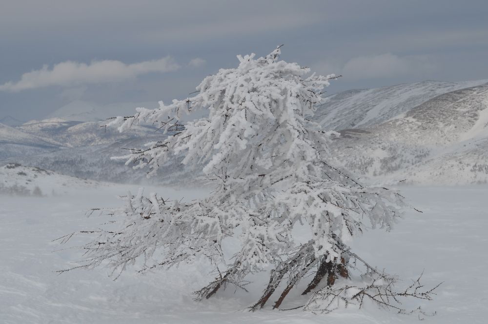 Photograph by Евгений Захаров
