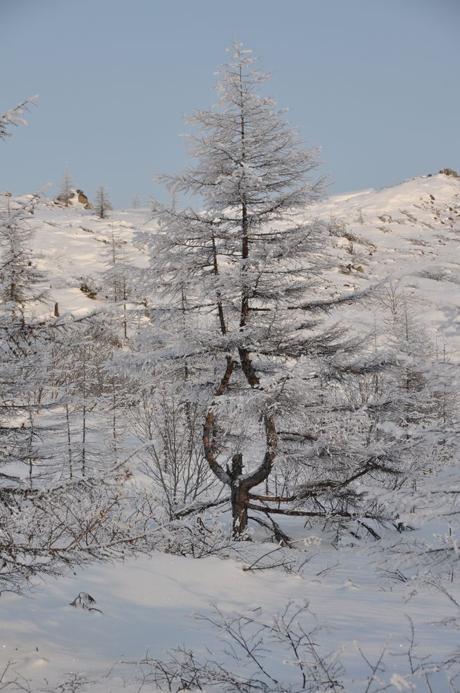 Photograph by Евгений Захаров