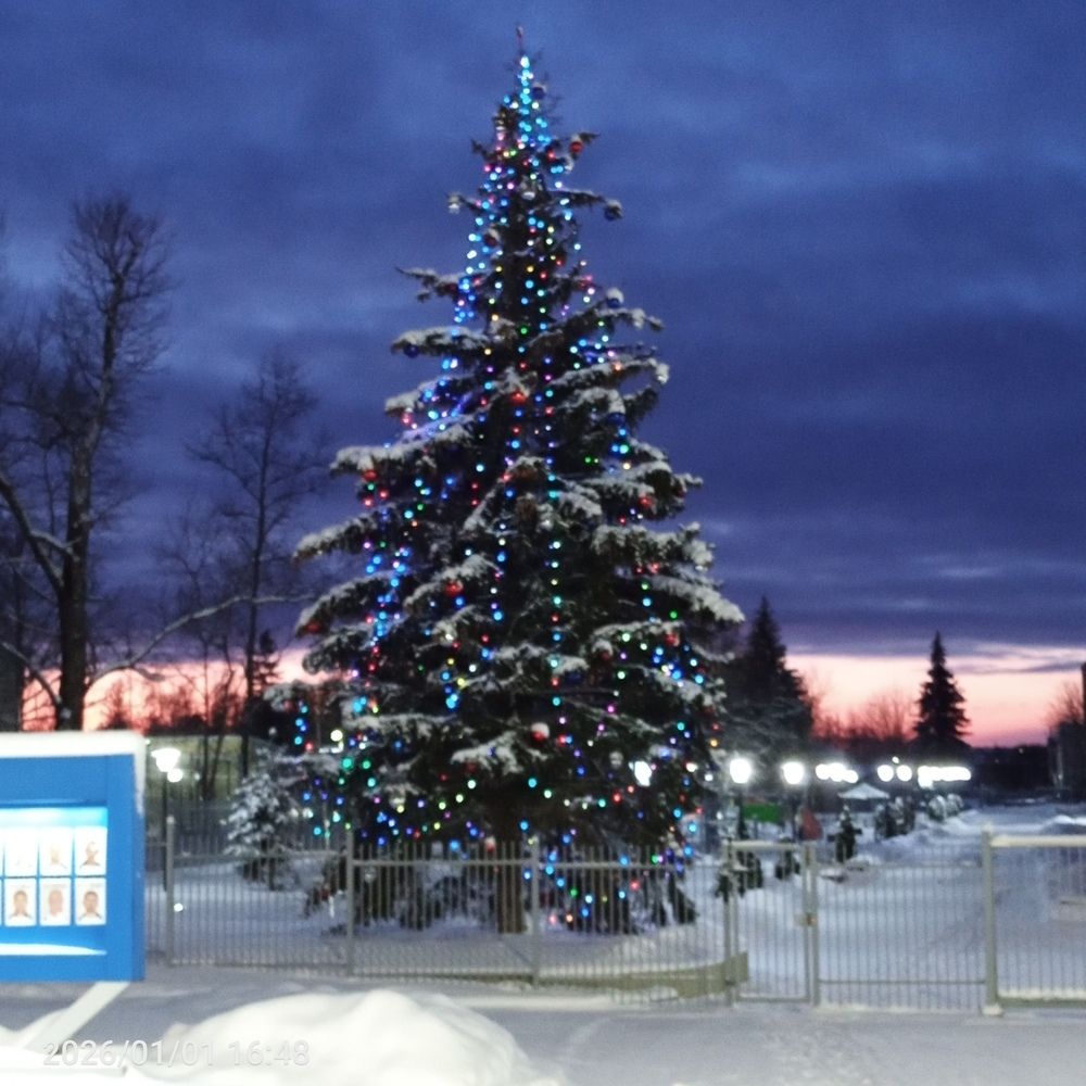 Photo #13068734