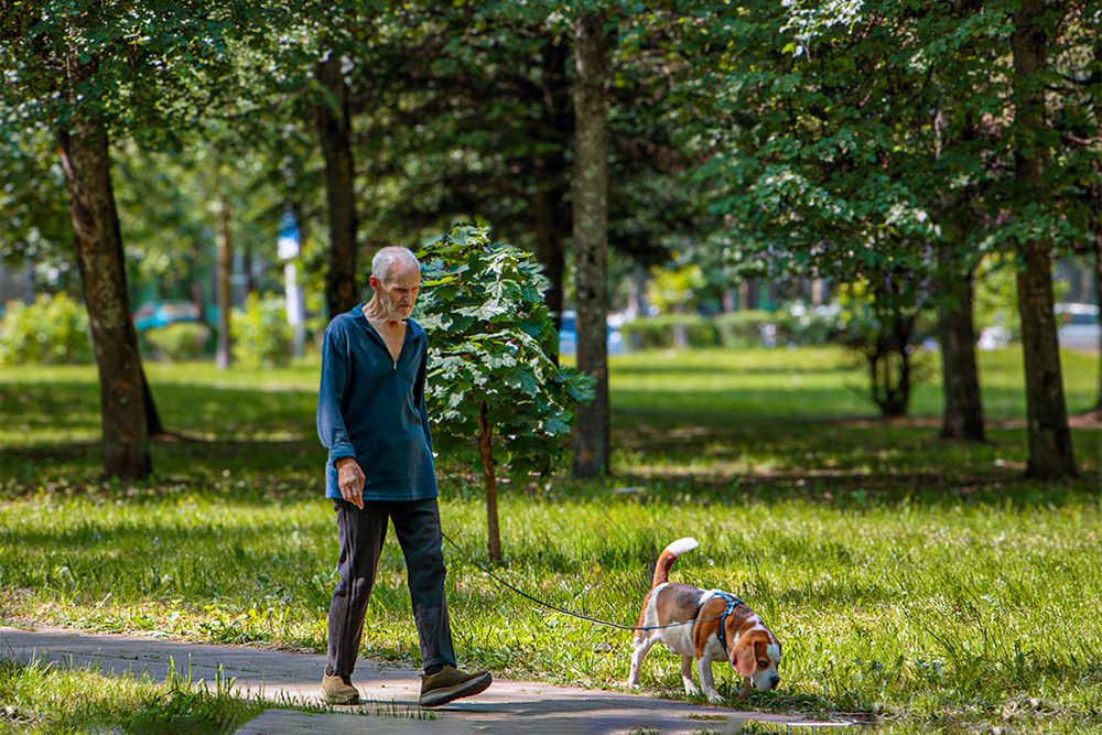Photograph by Надежда Хрусталёва