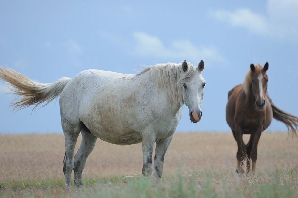 Photograph by Наталья Анисимова