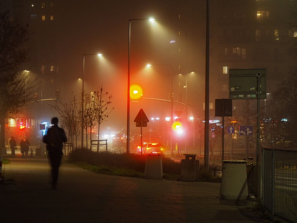 Photograph by Monika Niewiadomska-Hegyessy