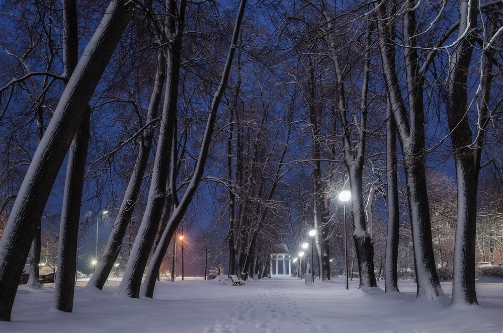 Photograph by Панова Зоя