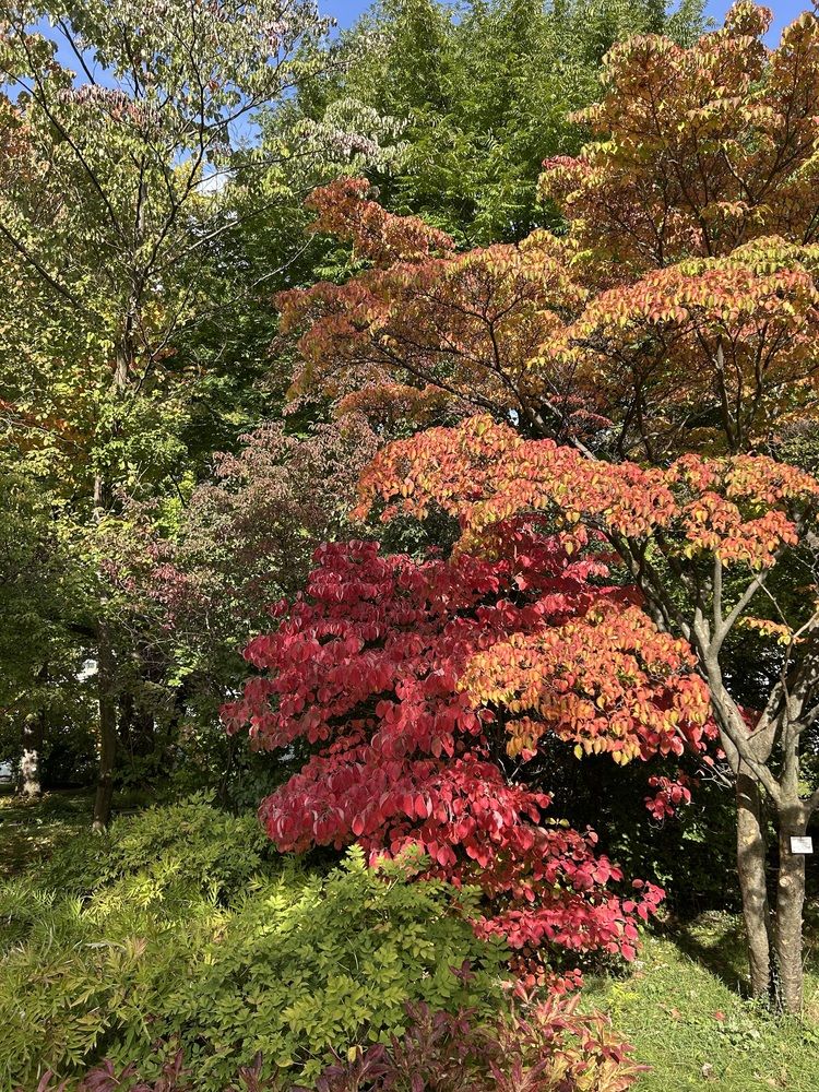 Photograph by Liudmila Lapochkina