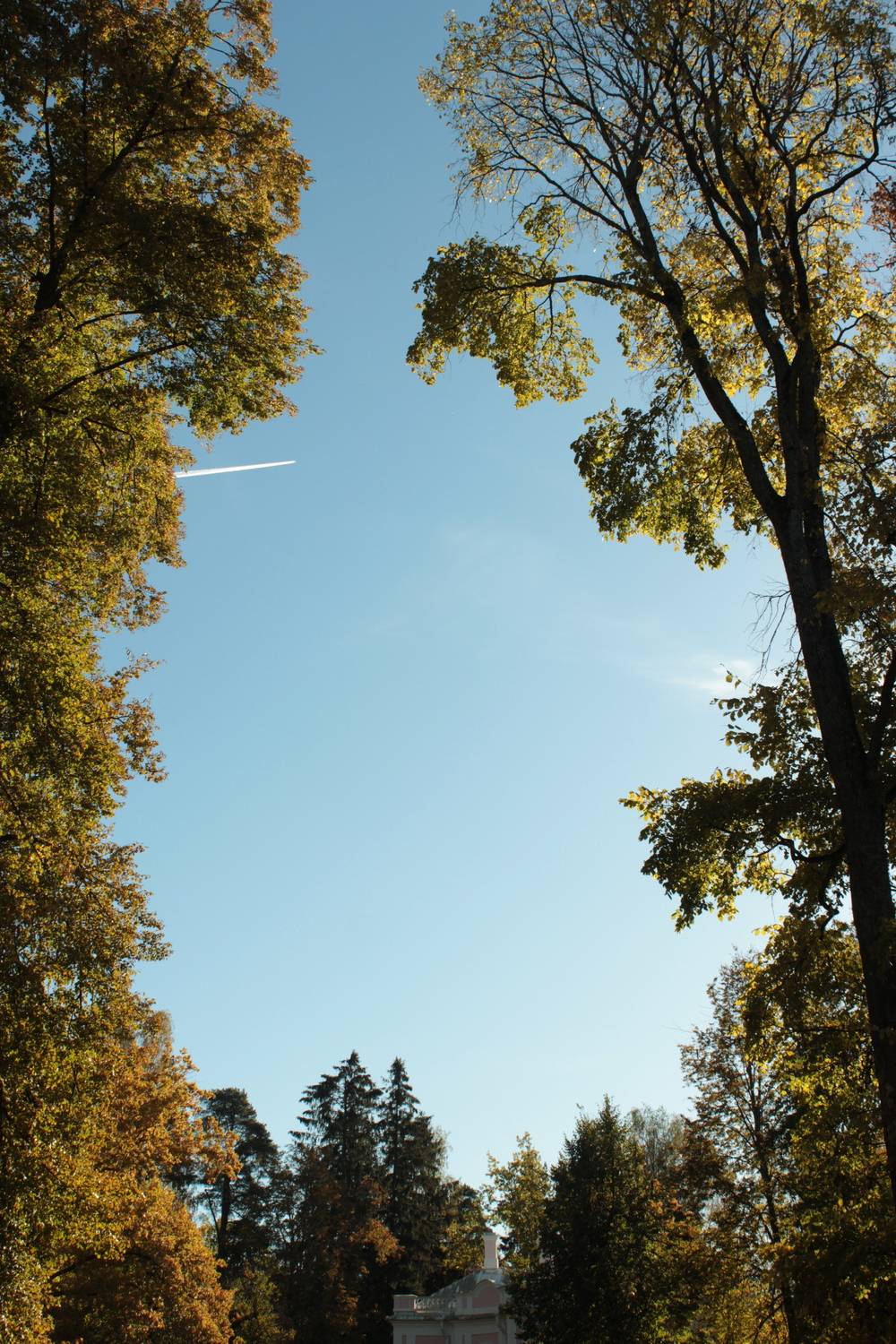 Photo #13068969