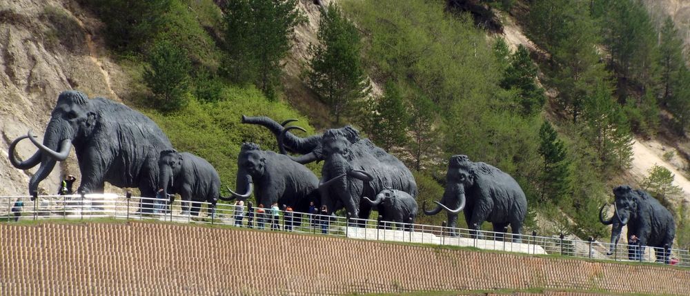 Photograph by Александр Бастраков