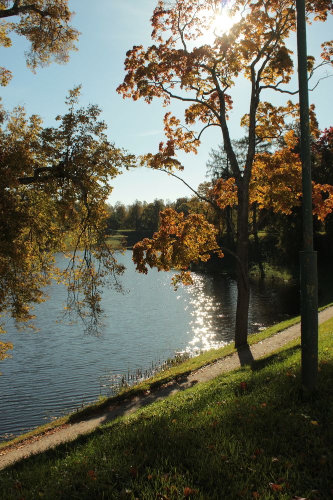 Photograph by Ольга