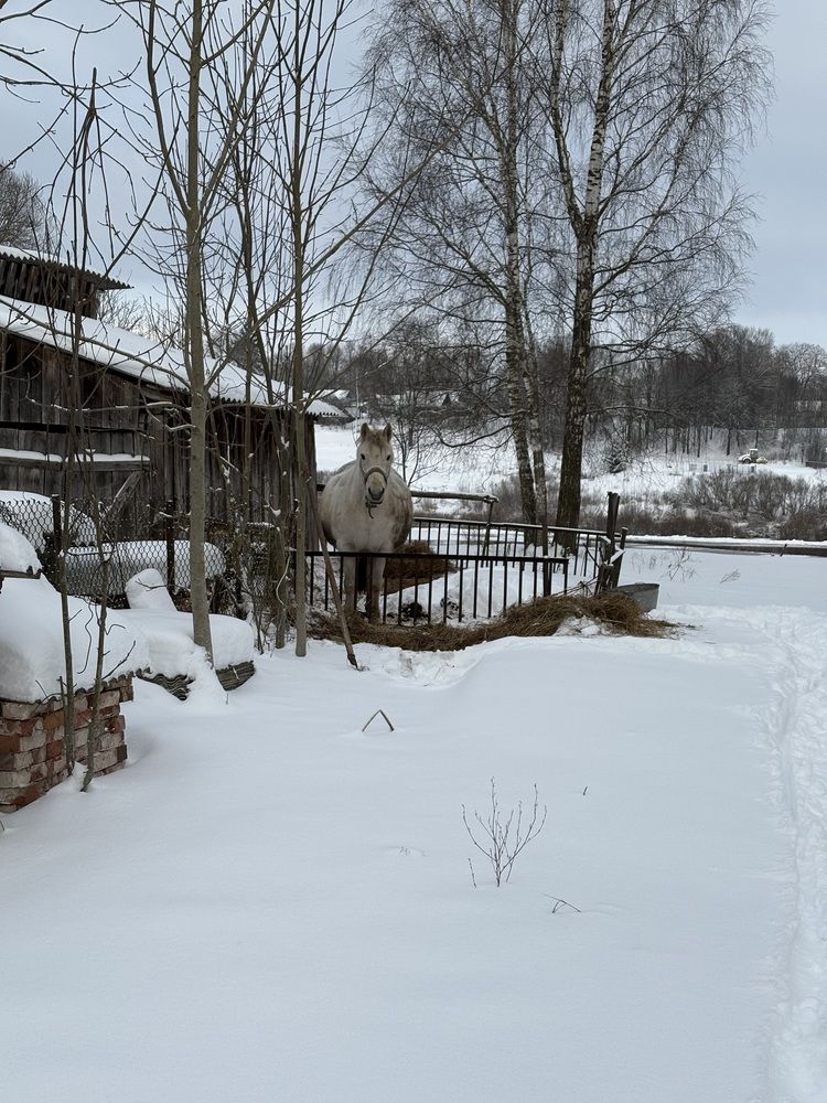 Фотография автора Catherine Shashkova