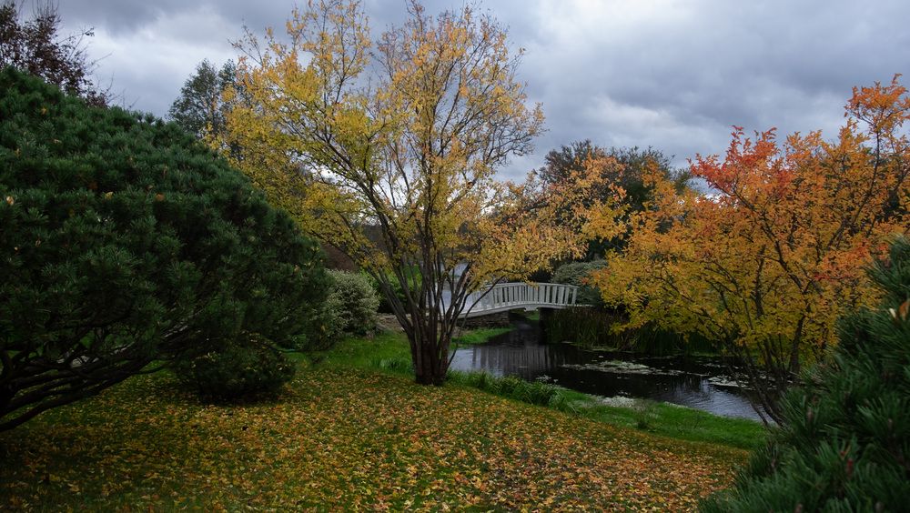 Photograph by Лариса Андреева