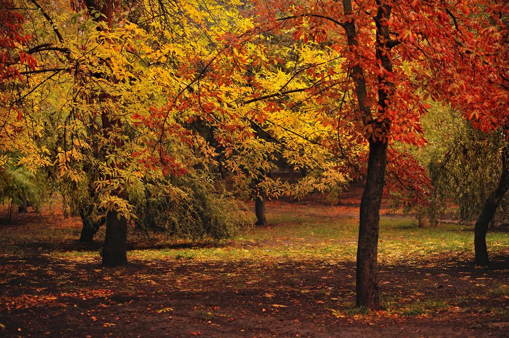 Фотография автора Сергей Иваненко