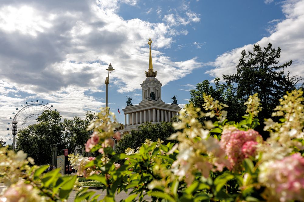 Фотография автора Кушпилева Марина