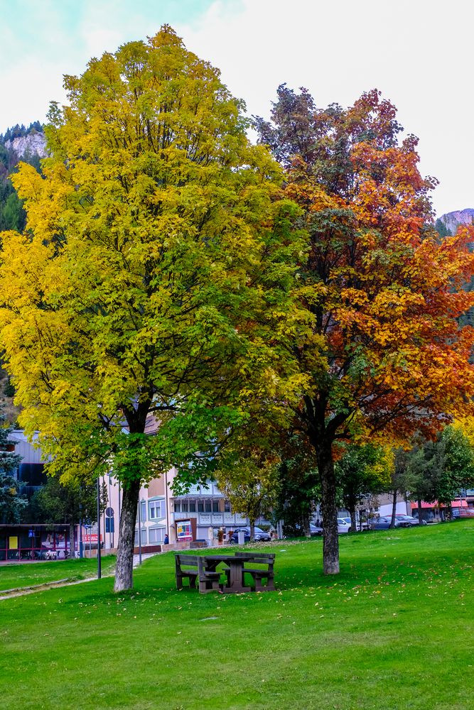 Фотография автора Dmitry