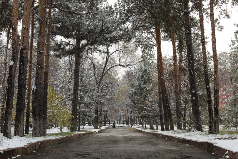 Photograph by Татьяна Леонтьева