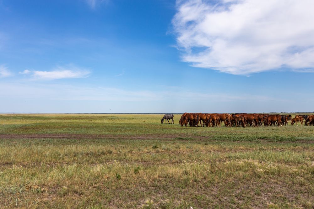 Photograph by Denis Phominov