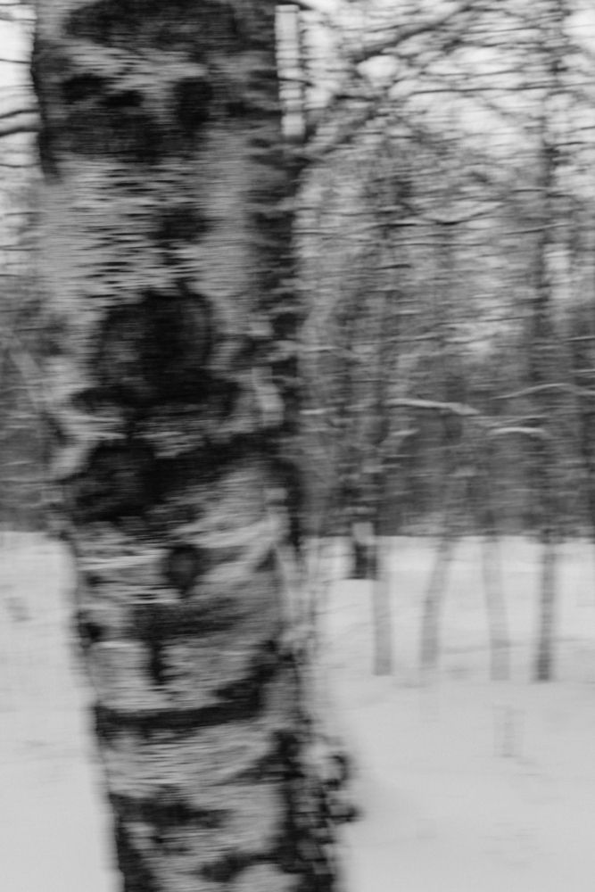 Фотография автора Екатерина Кузнецова