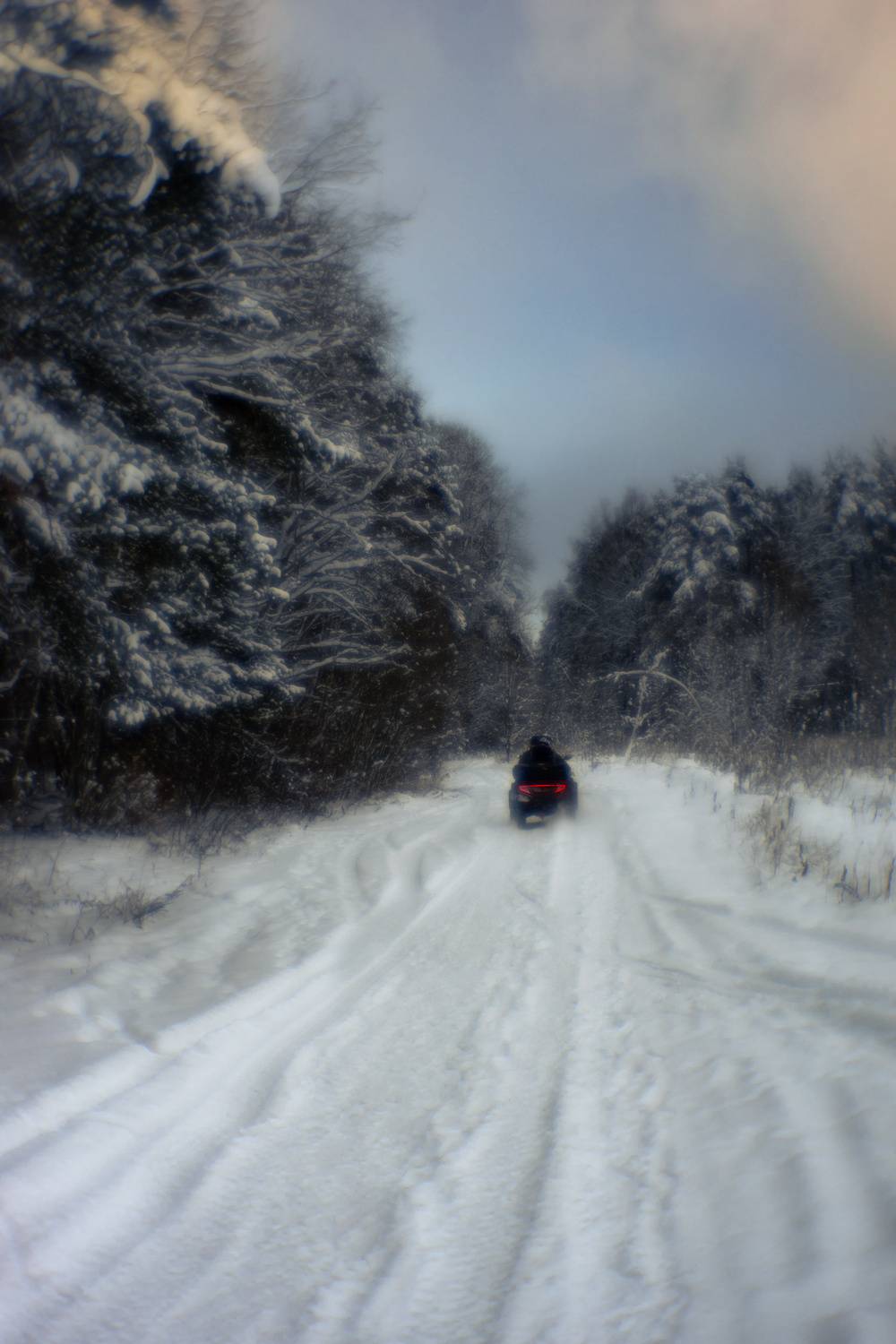 Фотография #13069139