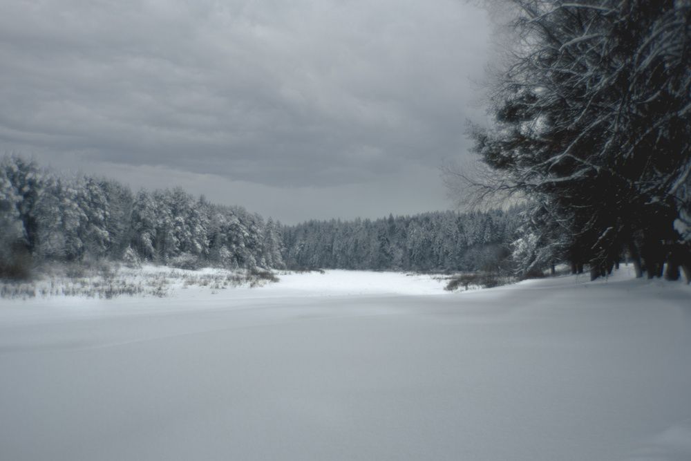 Photograph by Оксана Серёгина