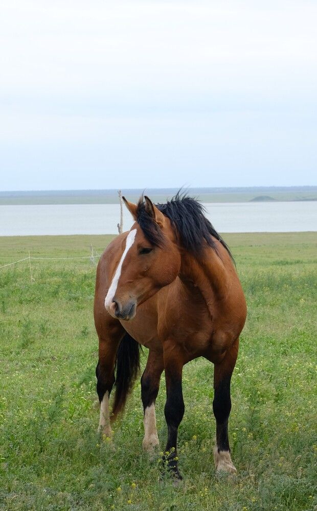 Photograph by Лариса Андреева