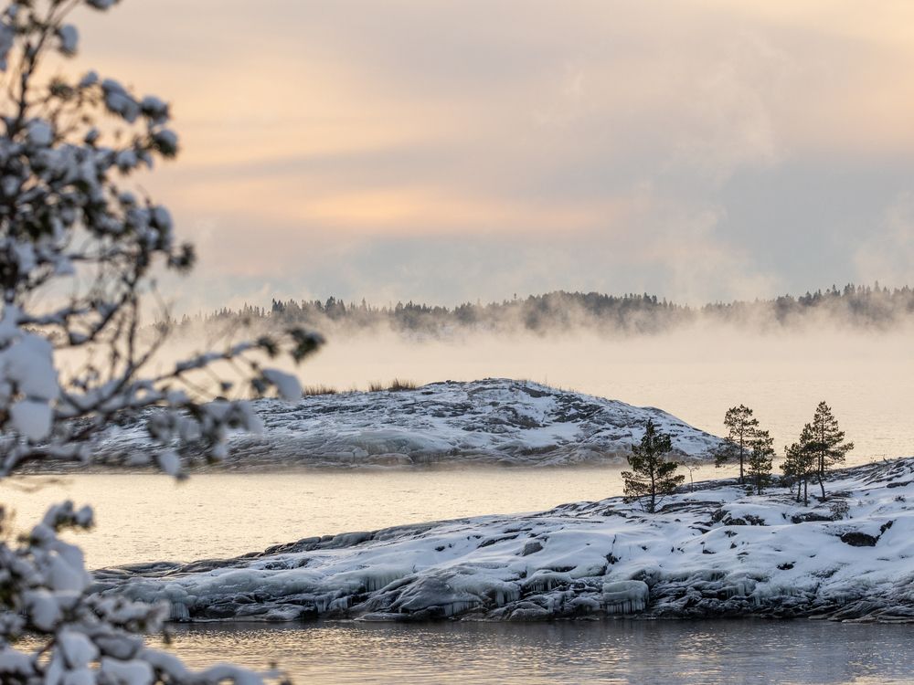 Photograph by Светлана Медведева