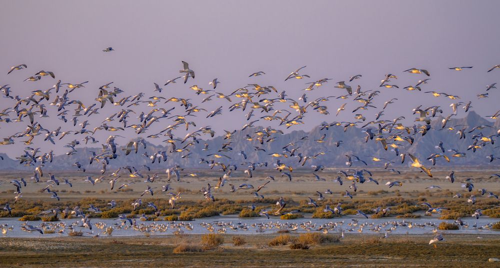 Photograph by Muhammad Asmar Hussain