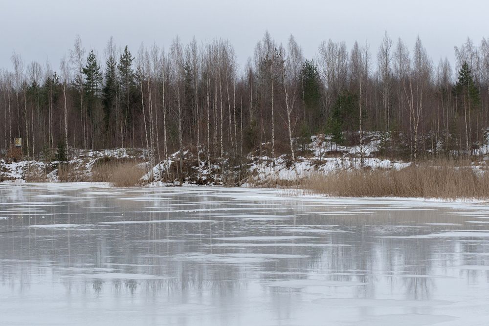 Photograph by Светлана Медведева