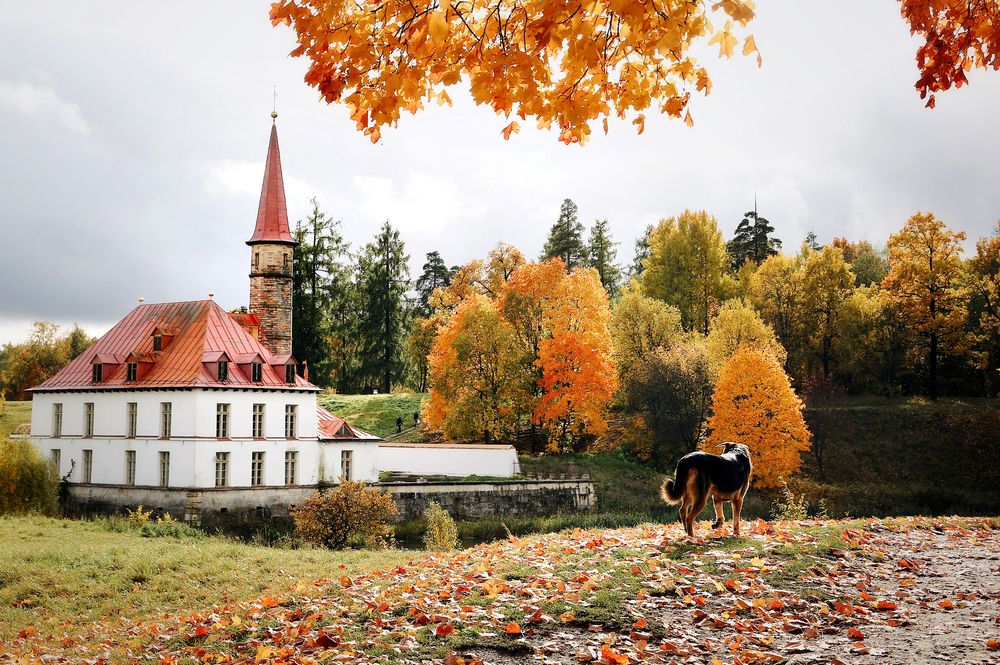 Photograph by Ирина Казанцева