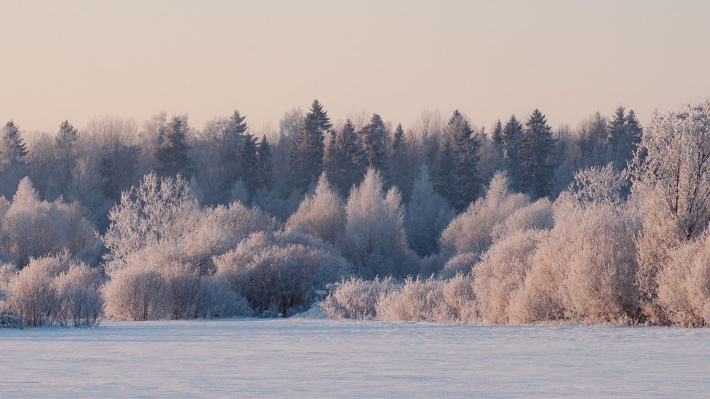 Photograph by Светлана Медведева