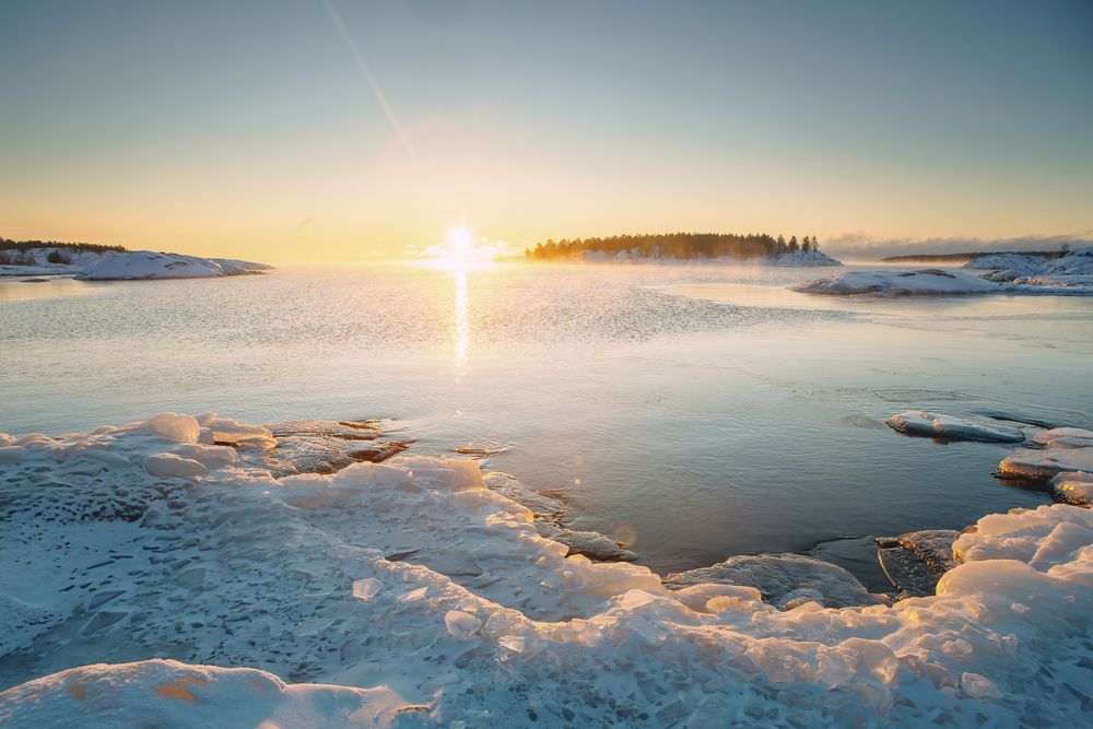 Фотография автора Алексей Новиков