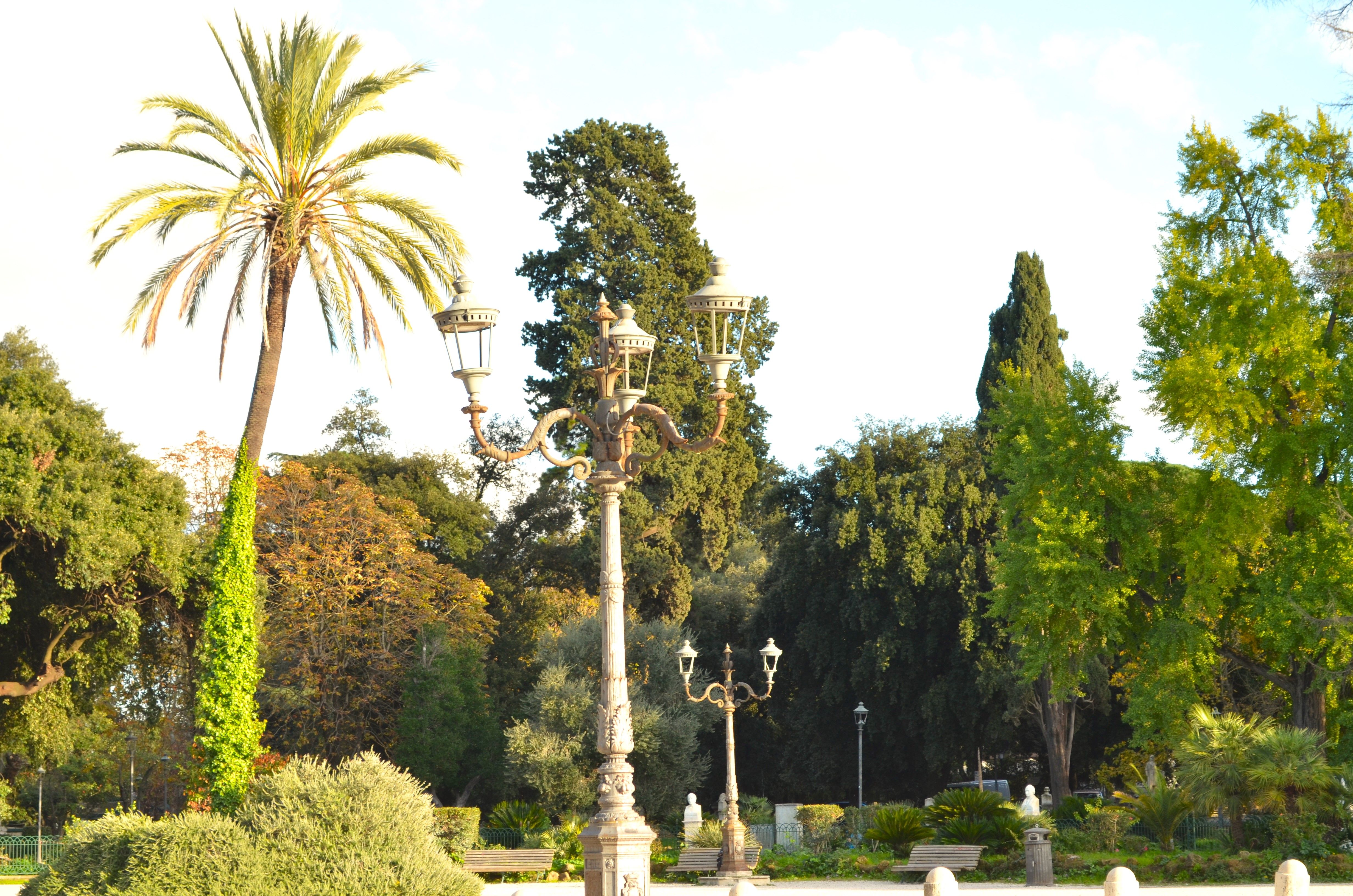 Photograph by Валерий Калинов