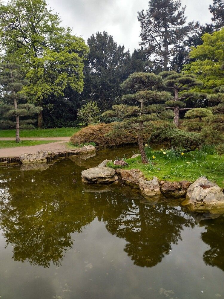 Photograph by Валерий Калинов