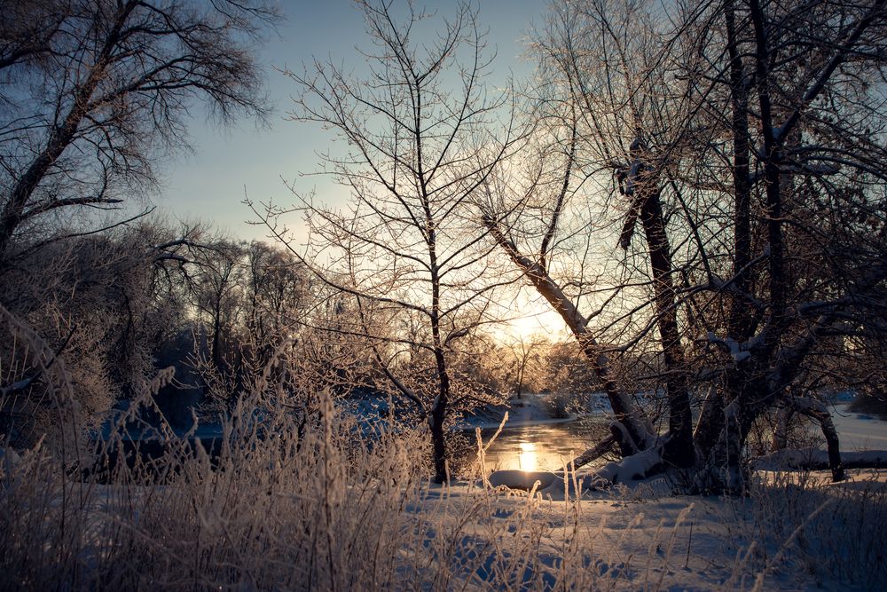 Фотография автора Маргарита Матвеенкова