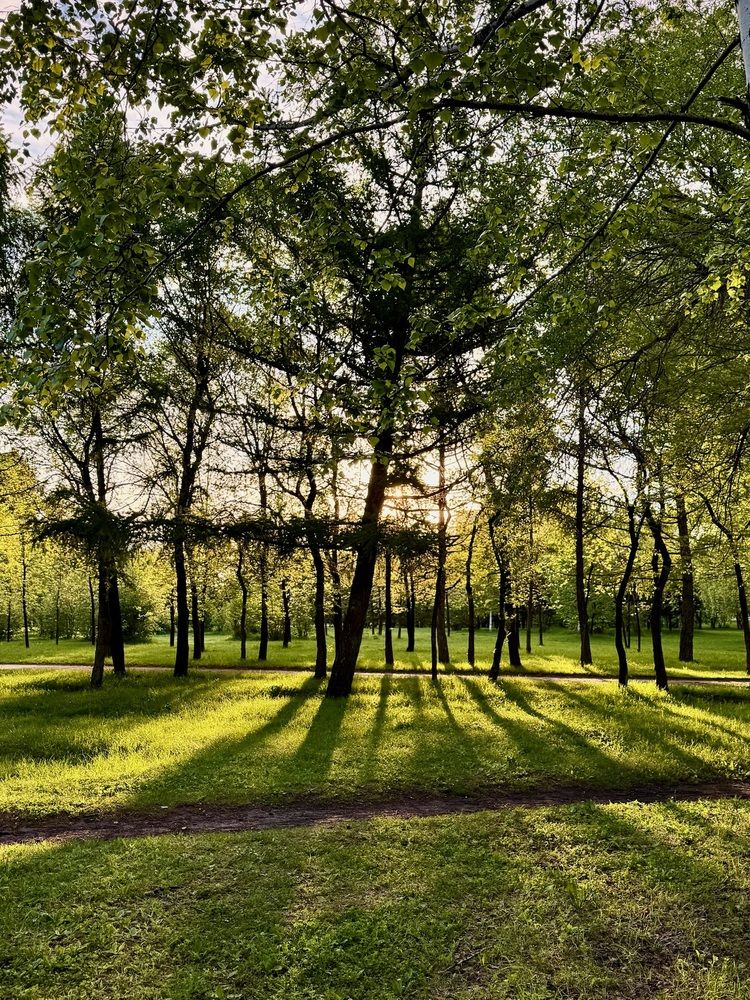 Фотография автора Галина Шиманцова