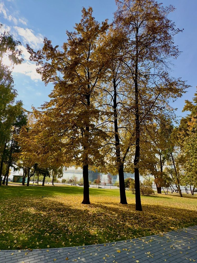 Фотография автора Галина Шиманцова