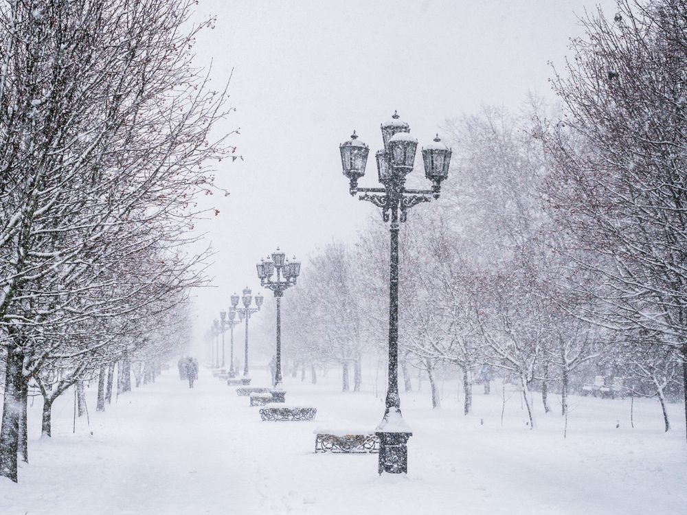 Photograph by Максим Новиков