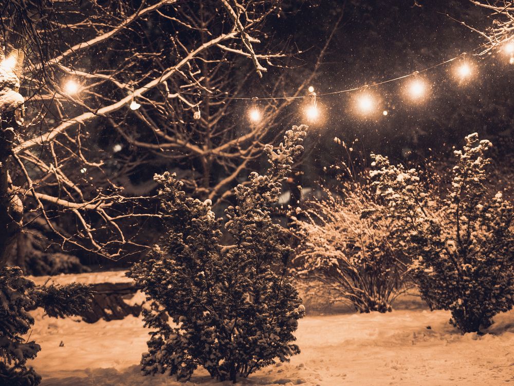 Photograph by Максим Новиков