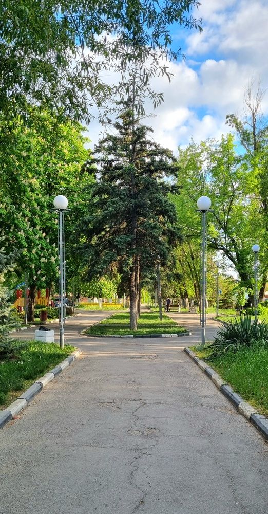 Фотография автора Светлана Рыжих