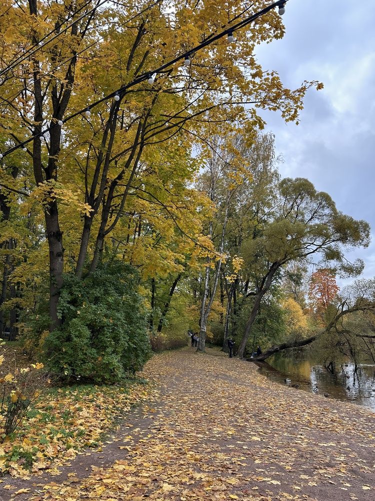 Photograph by Заломаева Надежда