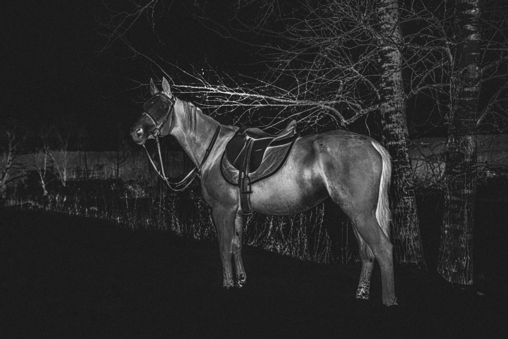 Photograph by Ольга Кушнарева