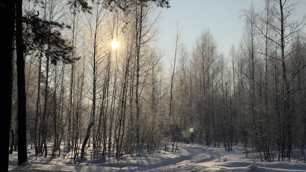 Photograph by Диана Янковская