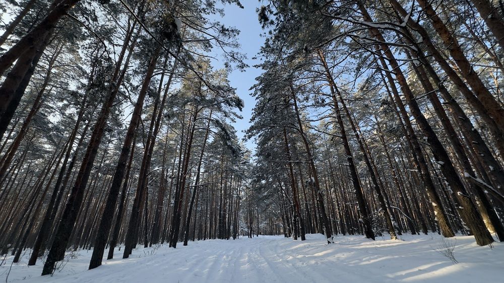 Photograph by Диана Янковская